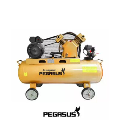 MÁy NÉn KhÍ DÂy Đai Pegasus Tm V 0.2512.5 180l (1)