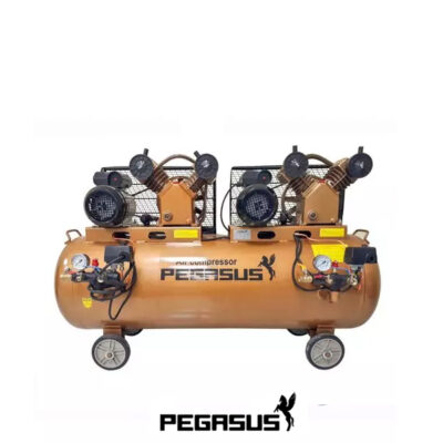 Máy Nén Khí Dây đai Pegasus 2 đầu Nén, 2 Motor Tm V 0.25 12.5x2 220l (1)