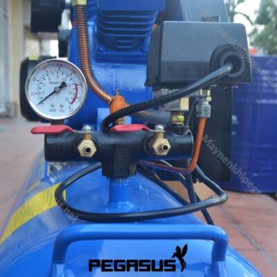 Máy Nén Khí Dây đai Pegasus Tm V 0.258 120l 220v (6) Min