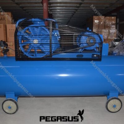 Máy Nén Khí Dây đai Pegasus Tm W 0.6712 (1) Min