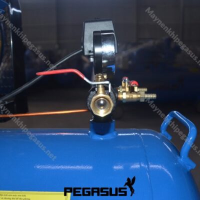Máy Nén Khí Dây đai Pegasus Tm W 0.6712 (5) Min