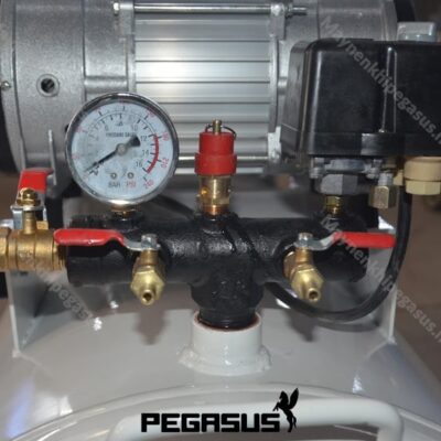 Máy Nén Khí Không Dầu Pegasus Tm Of11004 300l (2) Min
