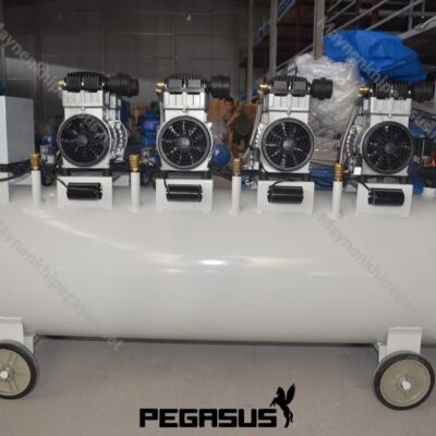Máy Nén Khí Không Dầu Pegasus Tm Of11004 300l (3) Min