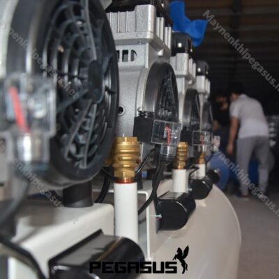 Máy Nén Khí Không Dầu Pegasus Tm Of11004 300l (5) Min