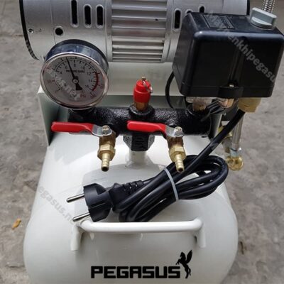 Máy Nén Khí Không Dầu Pegasus Tm Of15002 120l 4hp(220v) (1) Min