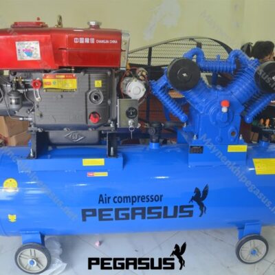 May Nen Khi Dau No Pegasus Min