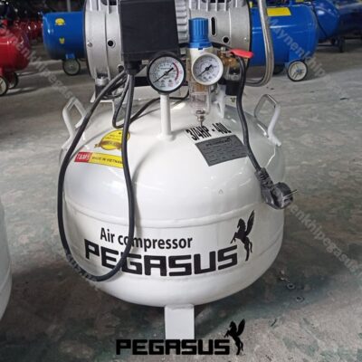 May Nen Khi Khong Dau Pegasustm Of550 40l 6