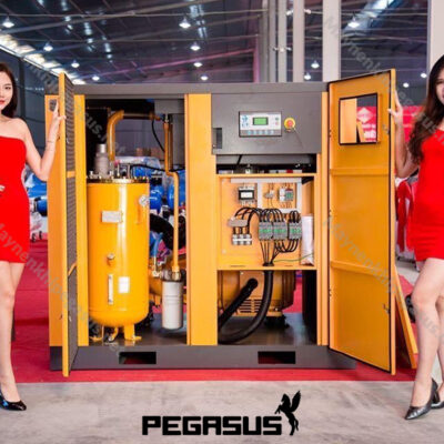 May Nen Khi Truc Vit Pegasus Tmpm20a