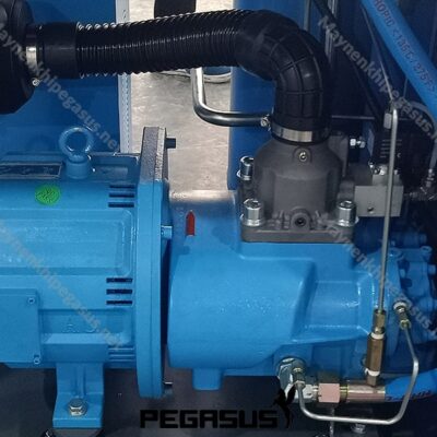 May Nen Khi Truc Vit Pegasus Tmpm10a 1 (1) Min
